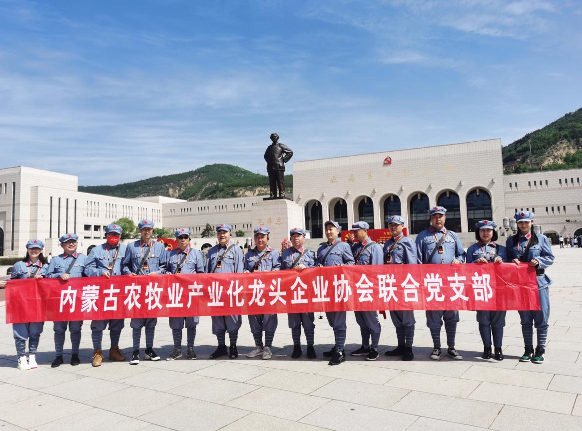 內(nèi)蒙古農(nóng)牧業(yè)產(chǎn)業(yè)化龍頭企業(yè)協(xié)會(huì)聯(lián)合黨支部赴延安革命圣地開展“學(xué)黨史、感黨恩、跟黨走”主題黨日活動(dòng)