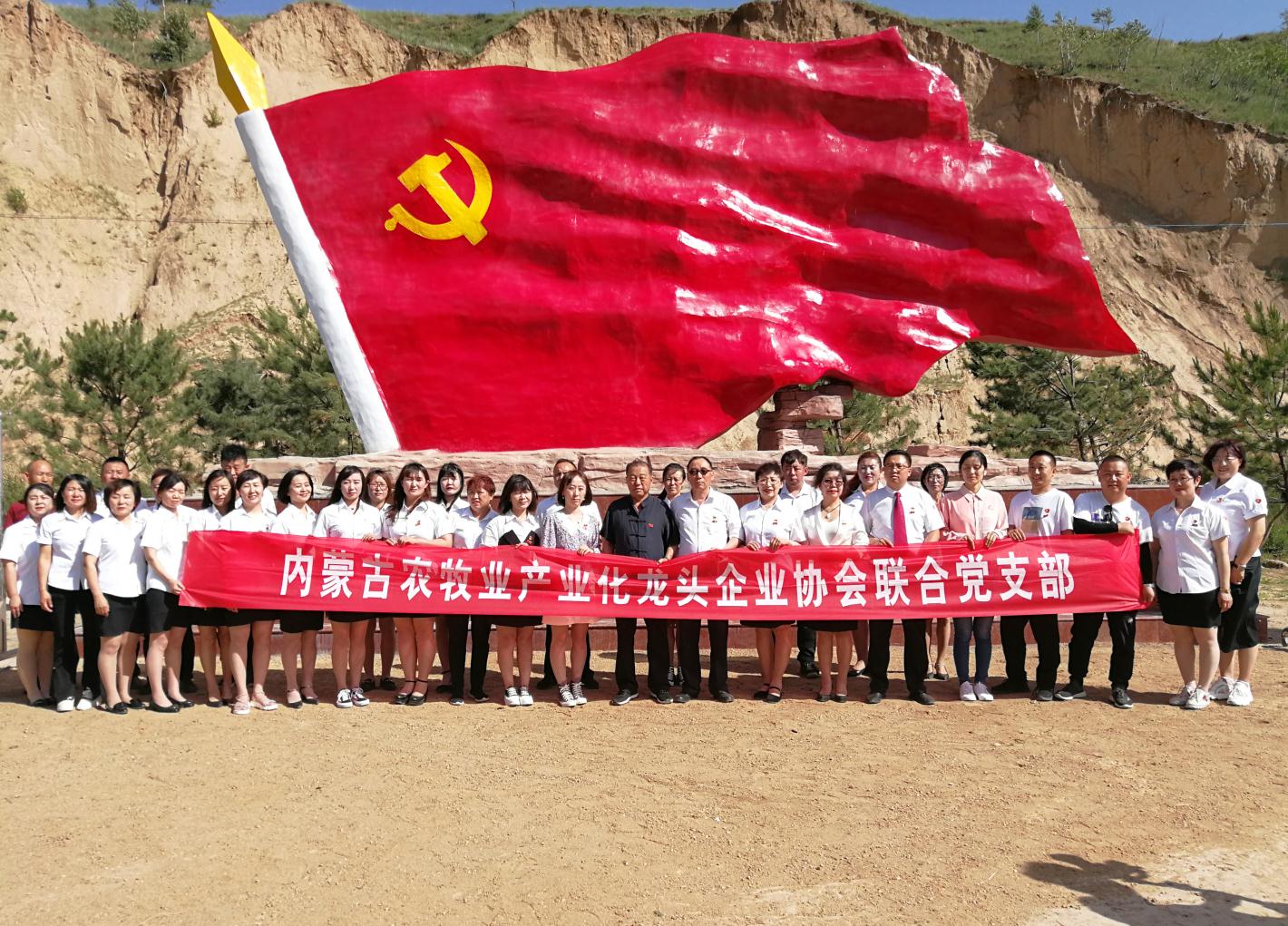 內(nèi)蒙古農(nóng)牧業(yè)產(chǎn)業(yè)化龍頭企業(yè)協(xié)會(huì)走進(jìn)石人灣村開展“辦實(shí)事、解難題，送溫暖，傳黨恩”公益活動(dòng)